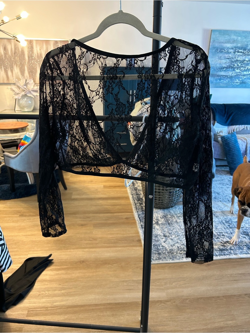 Amazon Black Sheer Lace Bolero Shrug